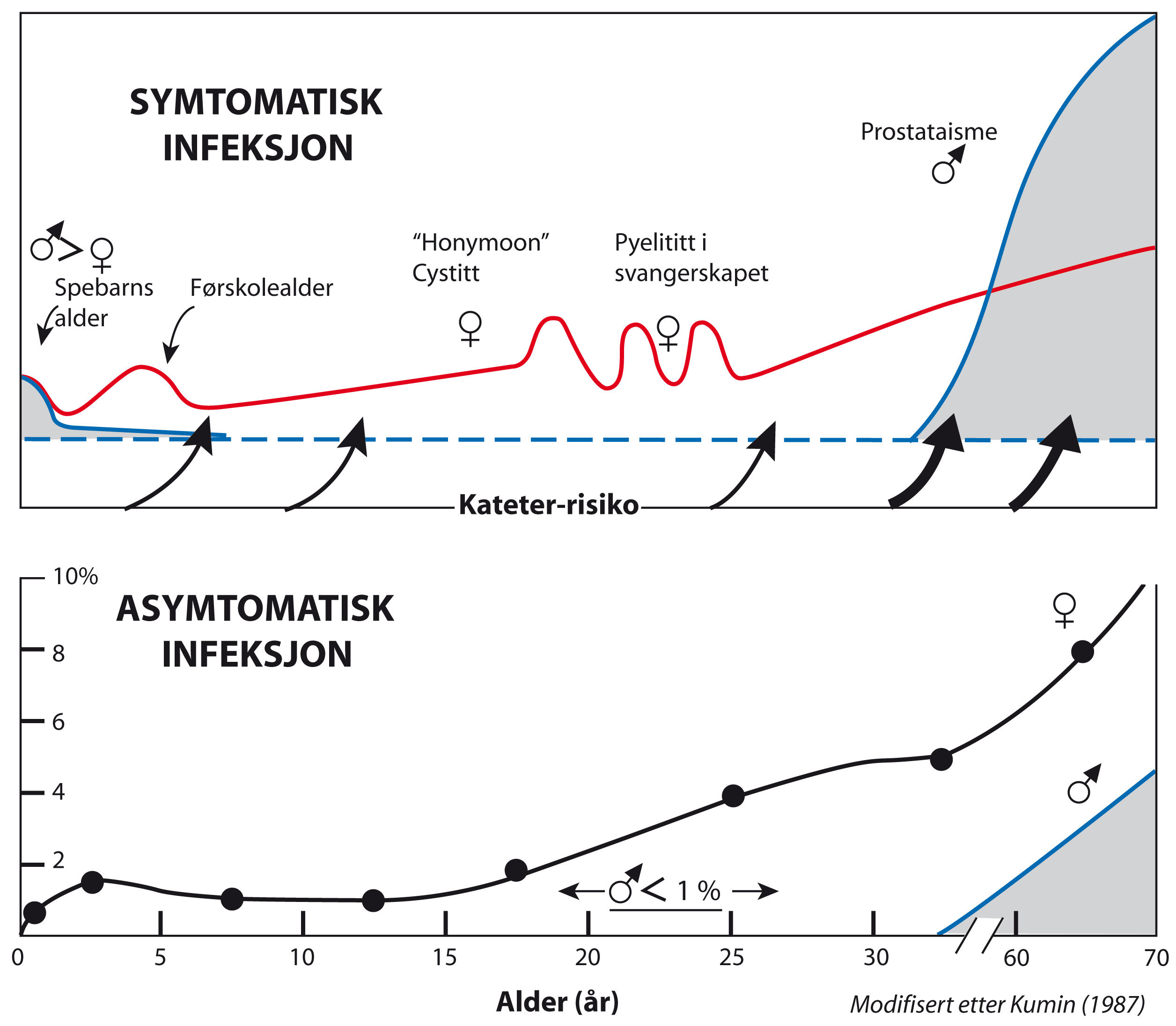 To grafer som viser hvordan risikoen for symtomatisk og asymtomatisk urinveisinfeksjon påvirkes av kjønn og alder